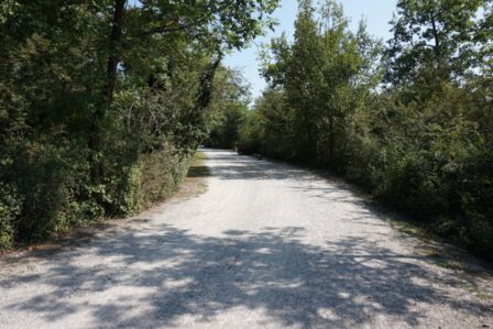 Minigite – Il Parco della Preistoria di Rivolta d’Adda (CR)