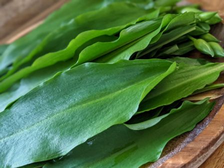 Pesto all’Aglio Orsino