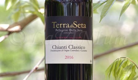 Produttori, un vino al giorno: Chianti Classico 2016 Terra di Seta
