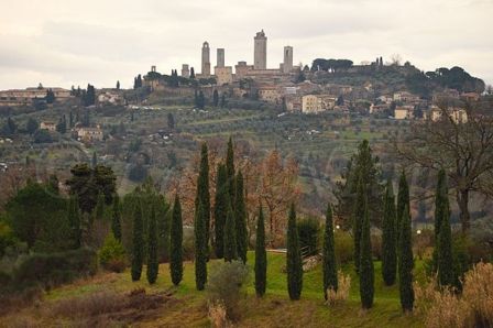 Anteprima Vernaccia di San Gimignano 2019: riflessioni su 84 campioni di diverse annate
