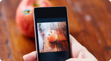 Con RaccontaMela, basta un clic per ottenere l'identikit delle mele.