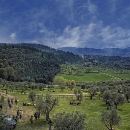 Ulivo Day e Giornata dell'Olio Nuovo in Toscana