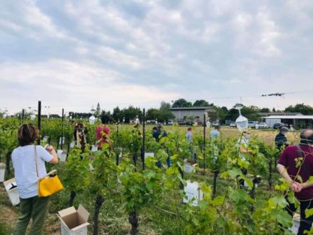 Siete pronti? Cantine Aperte 2021 in arrivo!