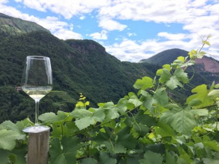 MÜLLER THURGAU vino di montagna