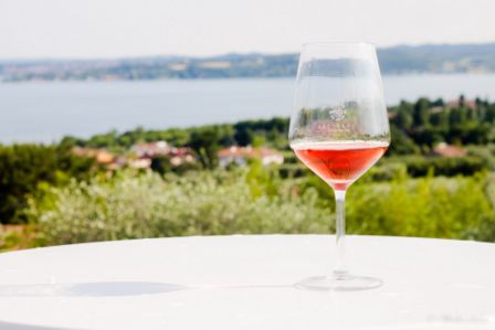 Italia in Rosa grande festa dei rosé
