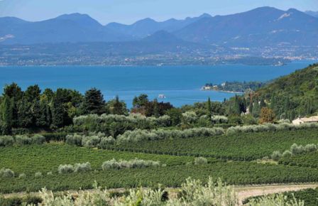 I DUE GIORNI DEL BARDOLINO E DEL CHIARETTO
