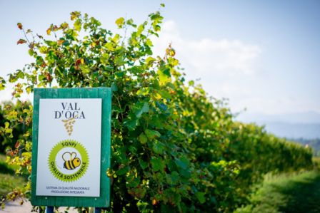 Certificazione SQNPI. Il logo dell'ape per la qualità del vino