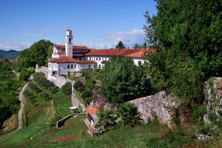 Tutte le info sull'asta dei cru della Contea di Gorizia