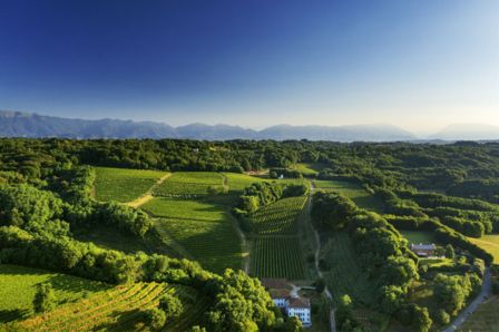 Nasce il wine club Loredan Gasparini