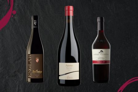 Giornate altoatesine del Pinot nero. Quali sono i migliori?
