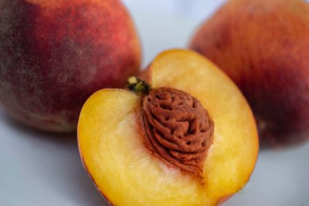 Pesche: le 15 varietà italiane da riconoscere
