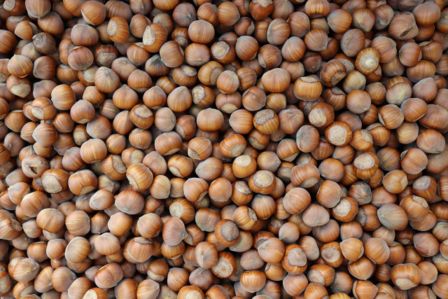 Farine di frutta secca: quali sono