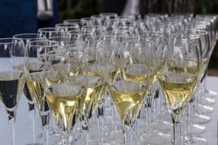 Prosecco: il Vescovo Pizziolo è contro pesticidi e monocoltura, ma arrivano gli insulti sui social