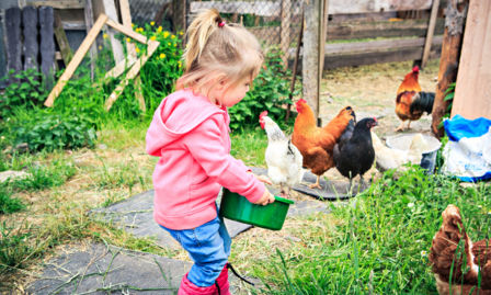 Agrinido, agriasilo e agritata: l’agricoltura può essere educazione?