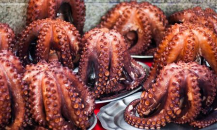 Le proprietà del polpo, un gustoso alleato della salute