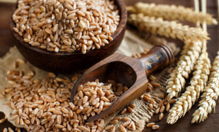 Ricco di fibre e amico dell’intestino: ecco le proprietà del farro