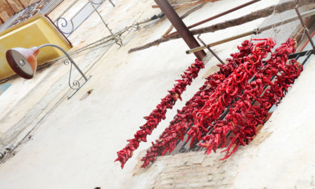 Storia e caratteristiche del Peperone di Senise IGP, l’oro rosso della Basilicata