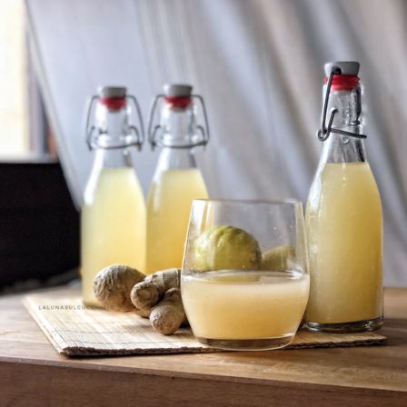 Ginger beer fatta in casa