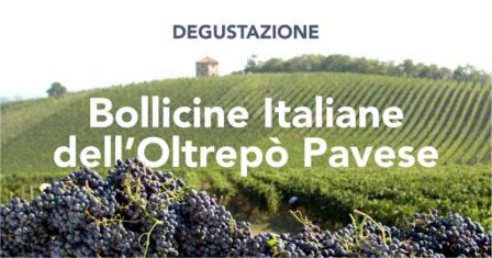 Oltrepo pavese i vini di Calatroni