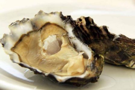 Le 7 ostriche migliori da mangiare in estate