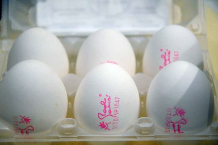 Maionese fatta in casa, la ricetta scientifica che non teme confronti