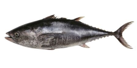 10 regole da conoscere per cucinare il pesce a casa senza errori