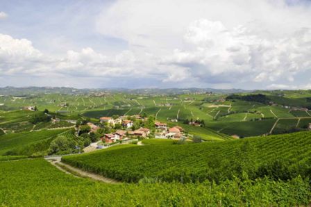 10 motivi per cui il Piemonte dovrebbe diventare capitale mondiale del cibo