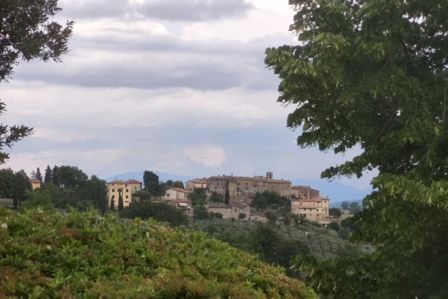 Sagrantino. Tenuta Saragano festeggia 100 anni con 2000 bottiglie speciali